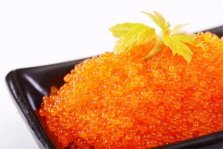 Trứng Cá Chuồn