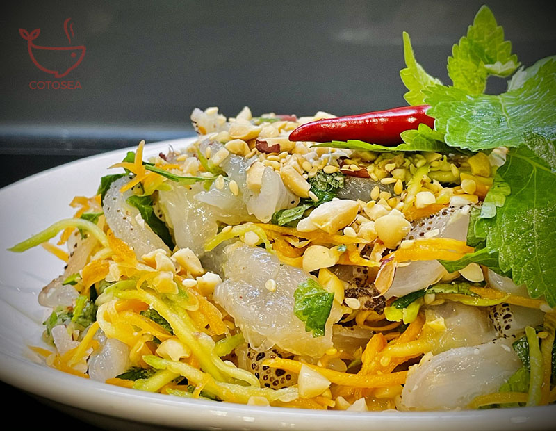Gỏi sứa