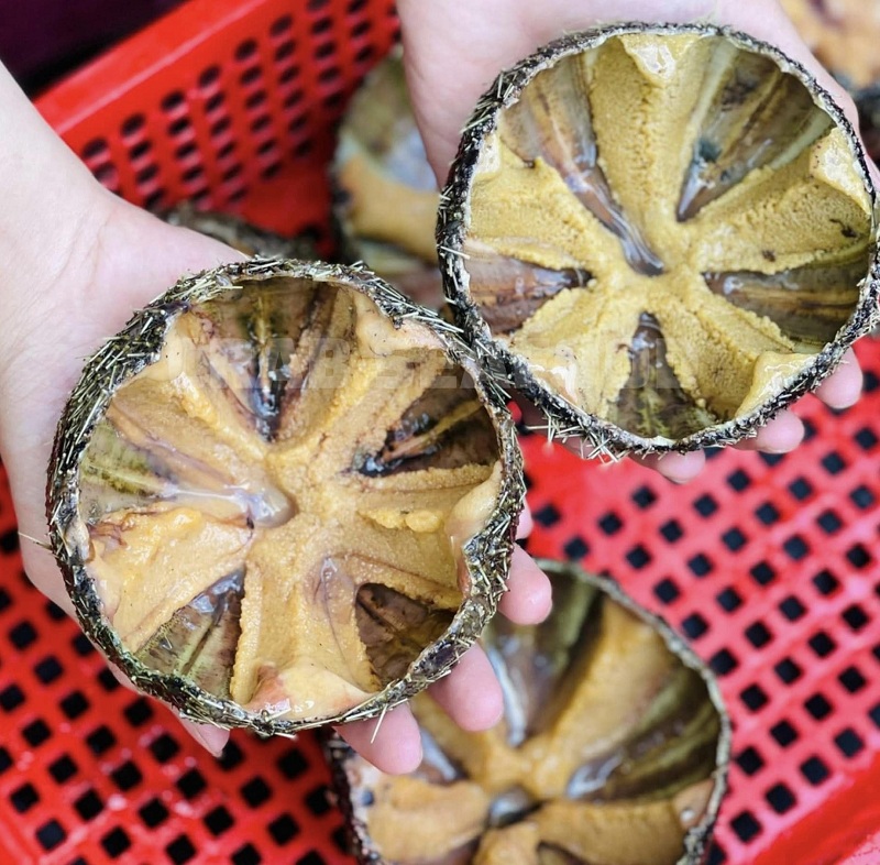 Nhum biển làm chả