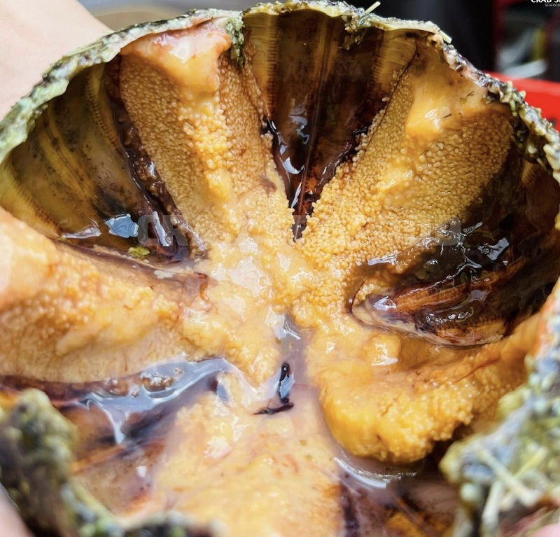 Nhum biển rang với cơm